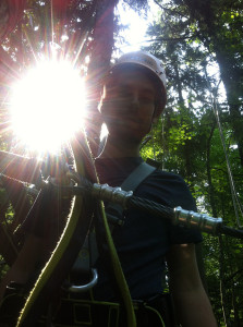 Sonne satt, selbst im Wald